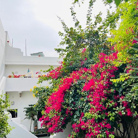 Mosaics Guest House Τζαϊπούρ Εξωτερικό φωτογραφία