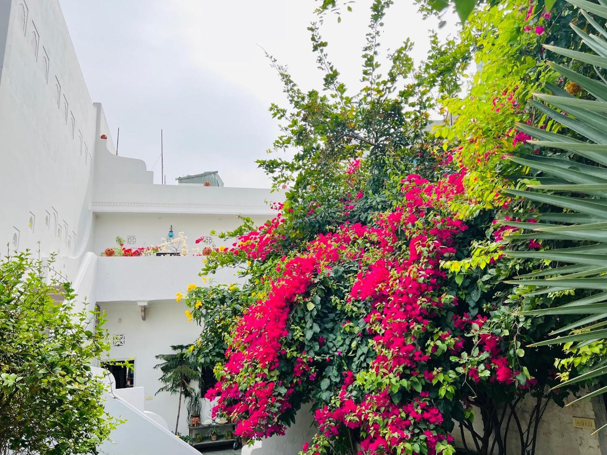 Mosaics Guest House Τζαϊπούρ Εξωτερικό φωτογραφία