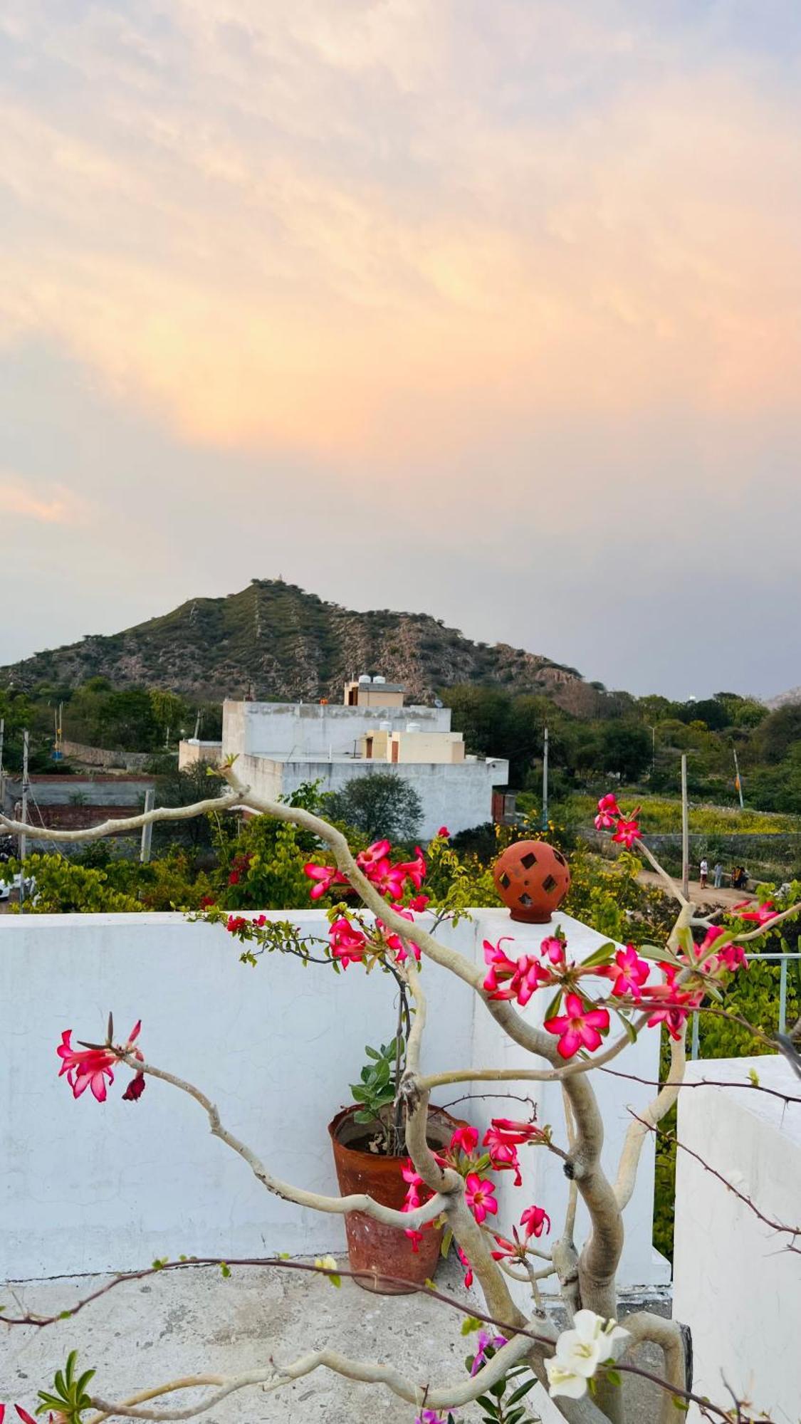 Mosaics Guest House Τζαϊπούρ Εξωτερικό φωτογραφία